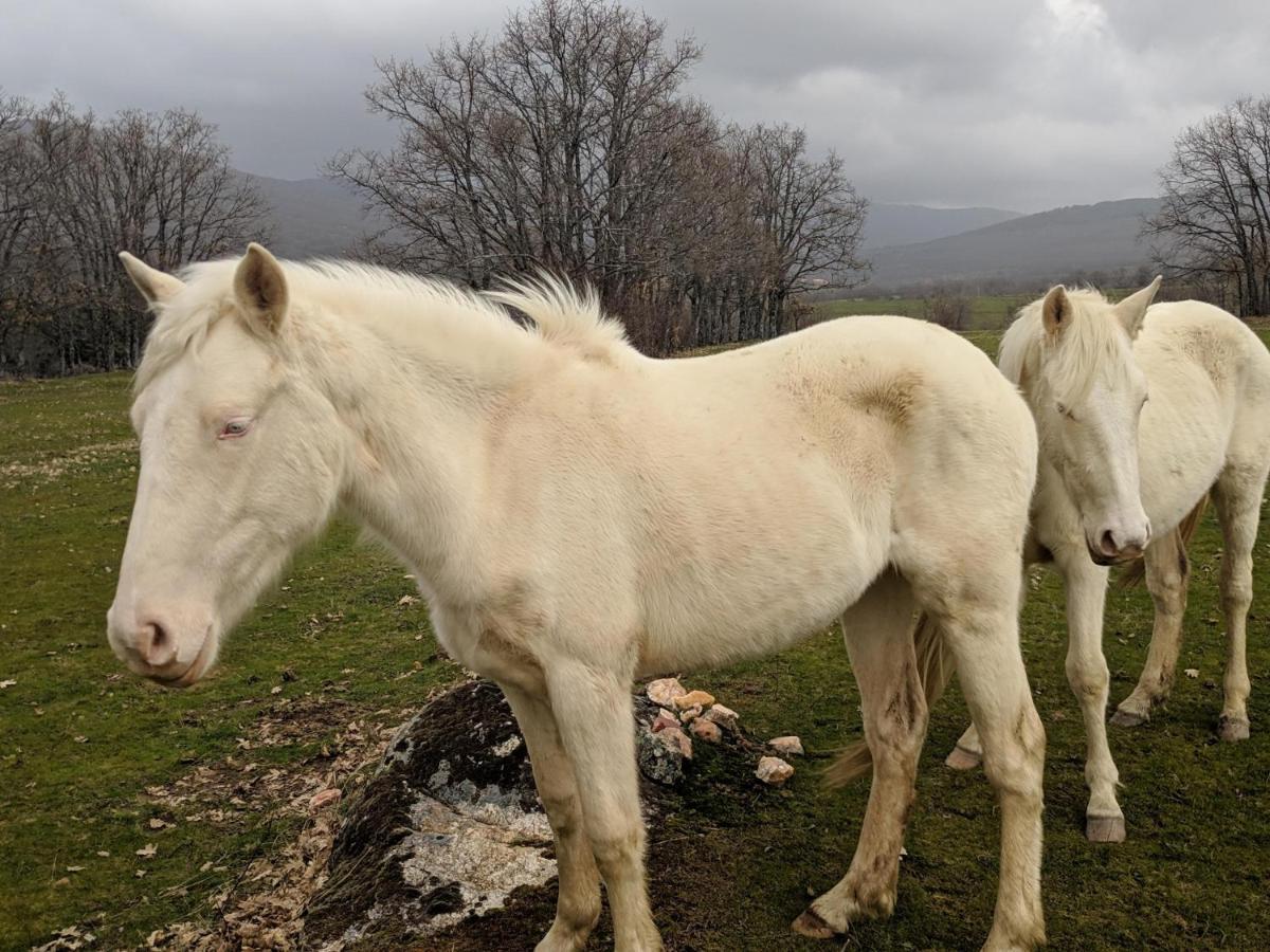 Casa Rural Fuente Del Arca Montejo مونتيجو دي لا سييرا المظهر الخارجي الصورة